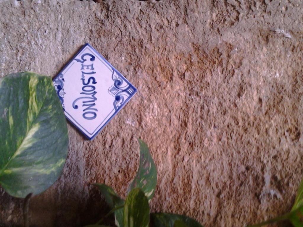 شقة Il Cortile Fiorito تراباني المظهر الخارجي الصورة